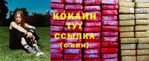 первитин Дмитриев