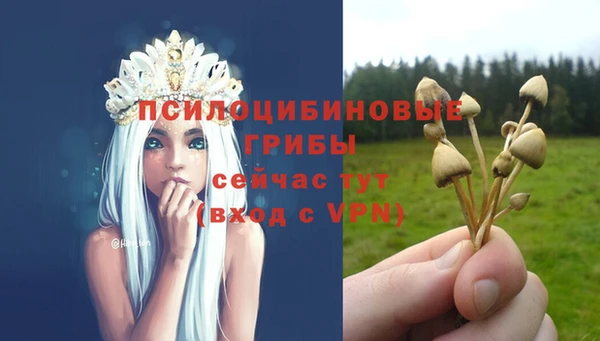дживик Дмитровск