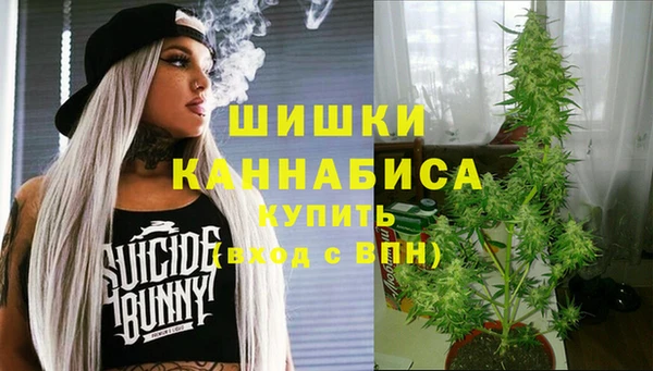 PSILOCYBIN Гусев