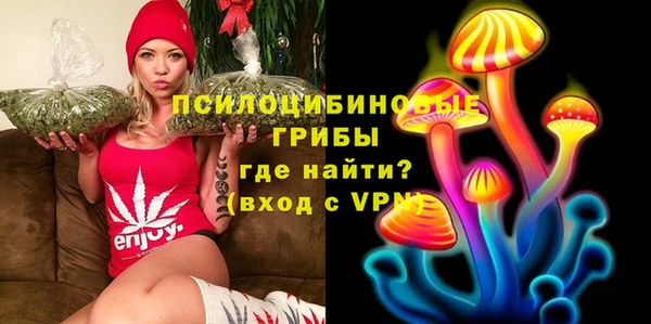первитин Дмитриев