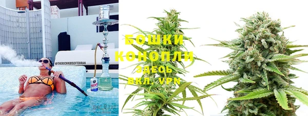 винт Дмитров