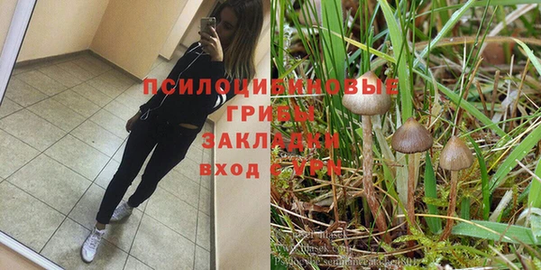 PSILOCYBIN Гусев