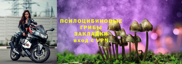 первитин Дмитриев
